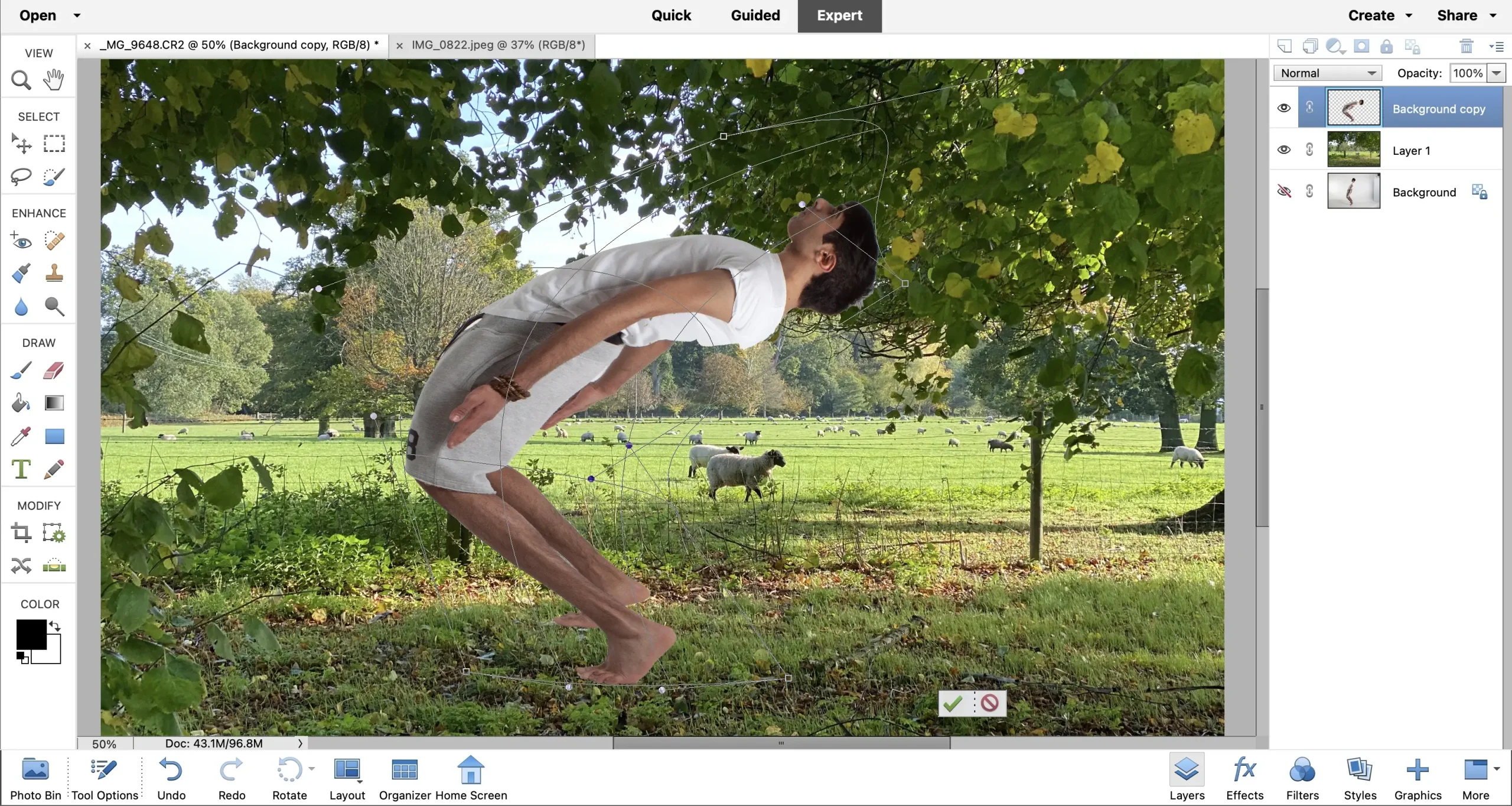 Tải Và Cài Đặt Miễn Phí Phần Mềm Photoshop Elements 2022 Full Crack