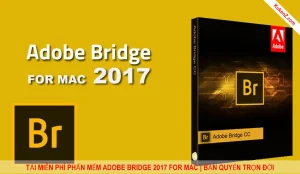 Tải Và Cài Đặt Miễn Phí Phần Mềm Bridge 2017 for MacOS Full Crack
